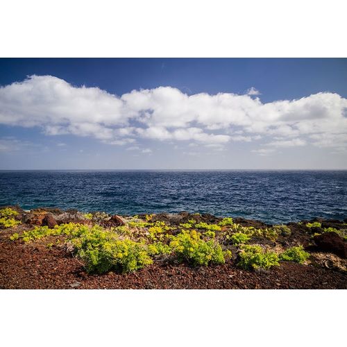Canary Islands-El Hierro Island-east coast-Caleta-coastal view